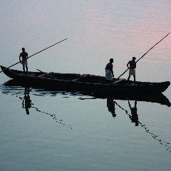 Alappuzha