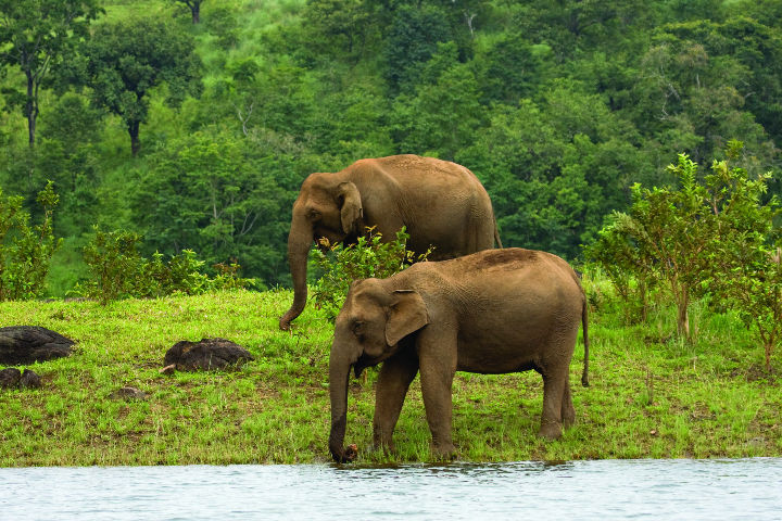 Idukki