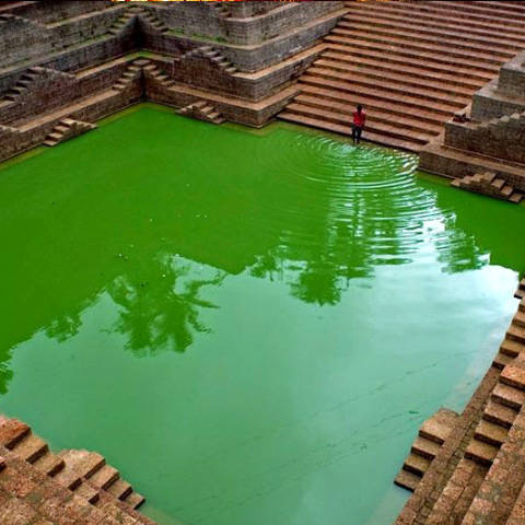 Kannur