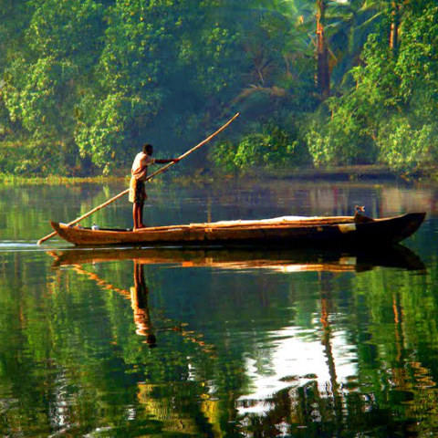 Kottayam