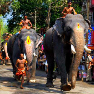 Guruvayur Sree Krishna Temple