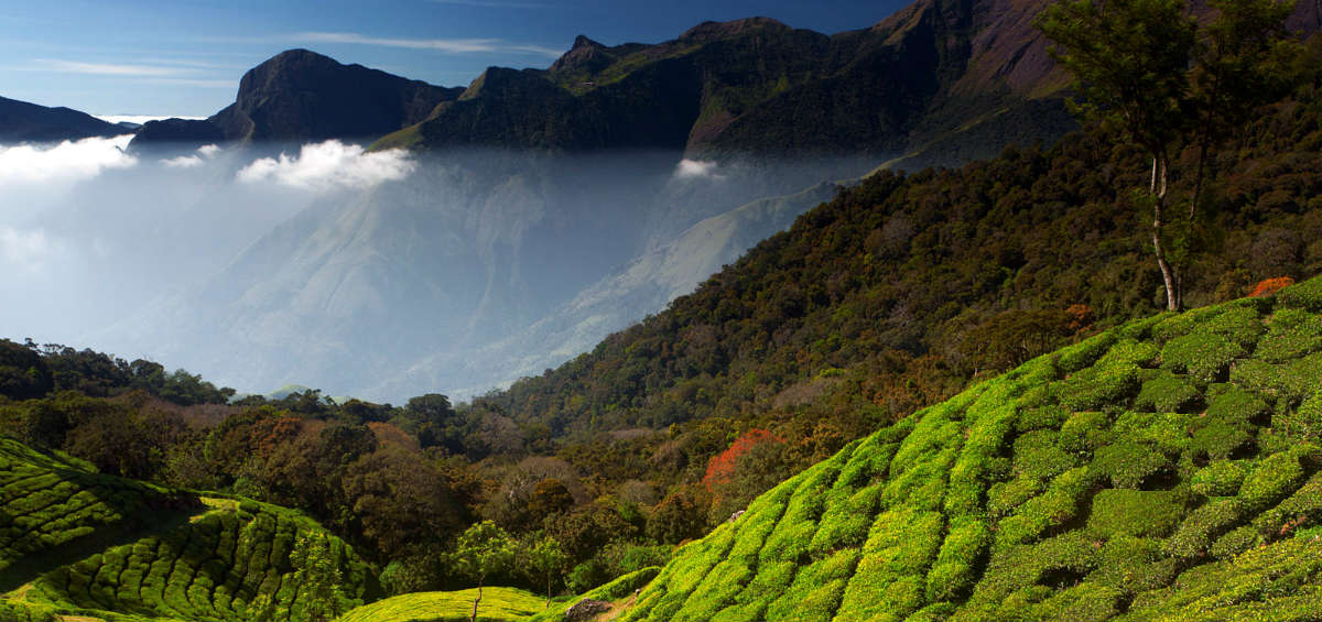 Munnar
