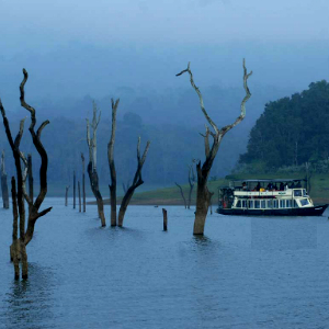 Thekkady