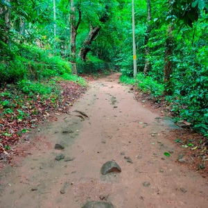 Thommankuthu Waterfalls
