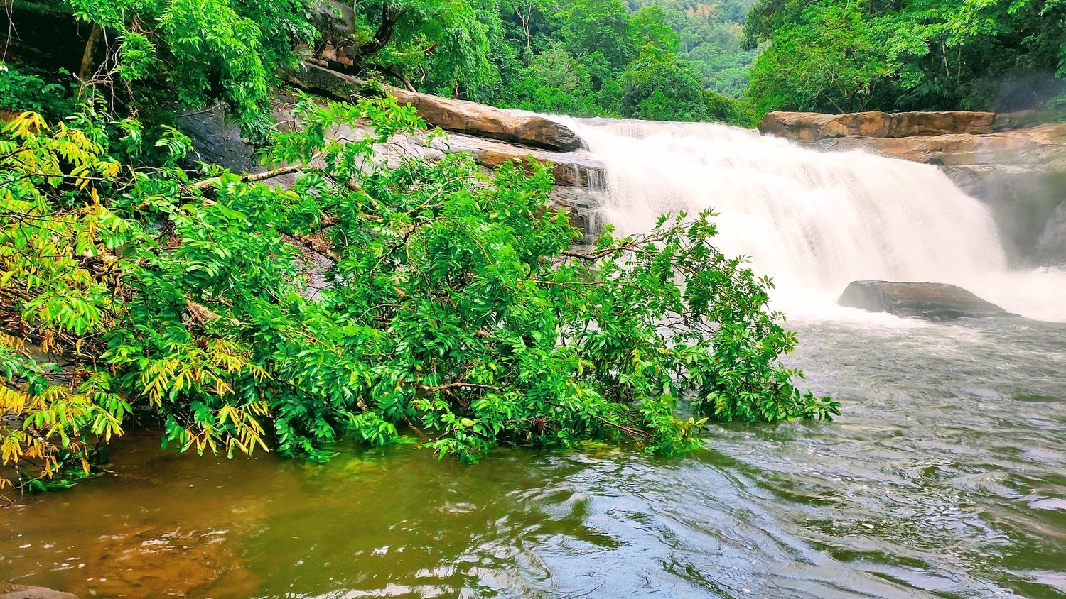 Thommankuthu Waterfalls