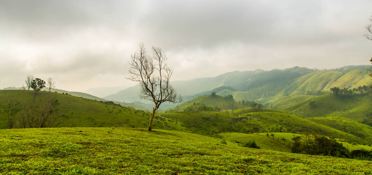Vagamon